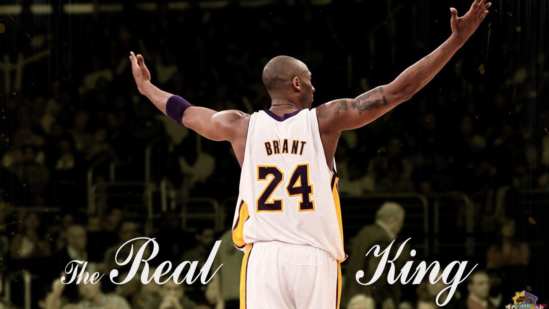 体育经济迎来爆发式增长,赛事商业化、数字转型与全球市场的新机遇